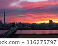 Skytree at sunset as seen from the Arakawa River 116275797