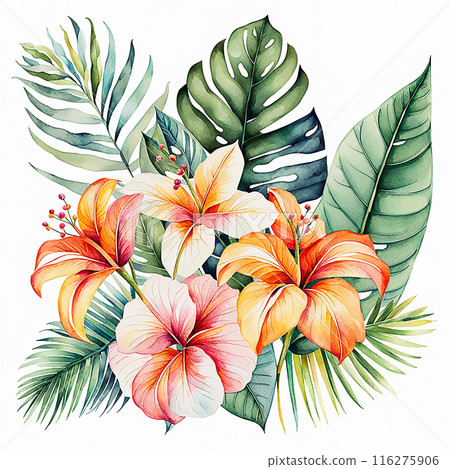 Watercolor style, tropical flower bouquet element isolated on white background. Hand drawn plants for the design of cards, bouquets, textiles 116275906