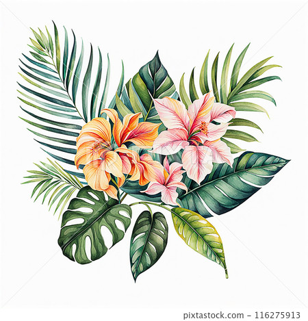 Watercolor style, tropical flower bouquet element isolated on white background. Hand drawn plants for the design of cards, bouquets, textiles Watercolor style, tropical flower bouquet element isolated on white background. Hand drawn plants for the design of cards, bouquets, textiles 116275913
