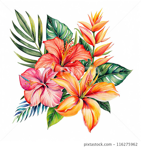 Watercolor style, tropical flower bouquet element isolated on white background. Hand drawn plants for the design of cards, bouquets, textiles 116275962