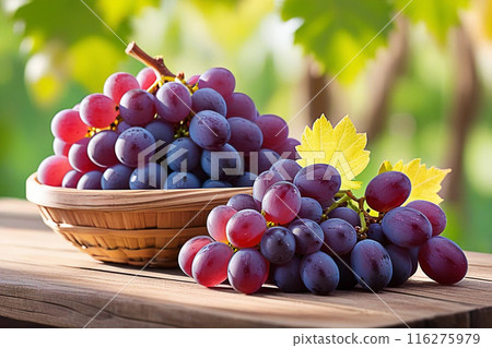 Red grapes on wooden table, Red grapes with sunlight, sweet Red grapes on wood background. Red grapes on wooden table, Red grapes with sunlight, sweet Red grapes on wood background. 116275979