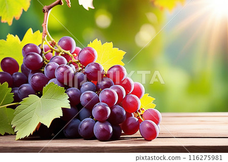 Red grapes on wooden table, Red grapes with sunlight, sweet Red grapes on wood background. Red grapes on wooden table, Red grapes with sunlight, sweet Red grapes on wood background. 116275981