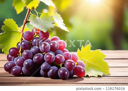 Red grapes on wooden table, Red grapes with sunlight, sweet Red grapes on wood background. 116276016