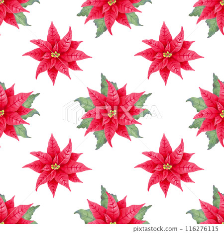 Seamless pattern with poinsettia flower with leaves. Illustration with watercolor and marker. Christmas and New Year. Hand drawn isolated art. Red plant with star flower for winter holidays. 116276115