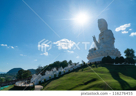 Wat Huay Pla Kang in Chiang Rai, Thailand 116276455