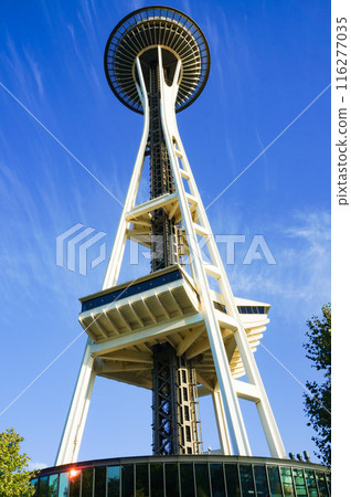Space Needle in downtown Seattle Space Needle in downtown Seattle 116277035