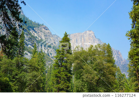 Good weather in Yosemite National Park Good weather in Yosemite National Park 116277124