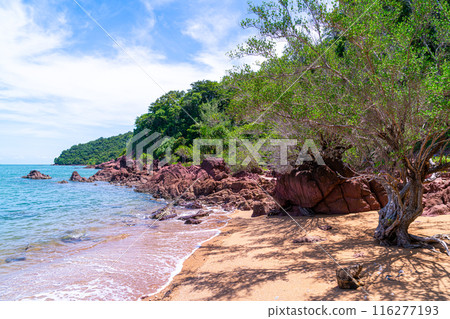 The Pink Coast or Lan Him Chomphu at Chanthaburi in Thailand The Pink Coast or Lan Him Chomphu at Chanthaburi in Thailand 116277193