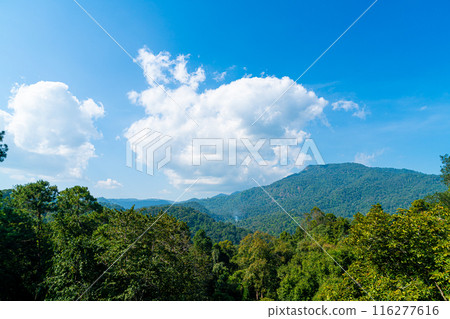 mountain hill with cloud and blue sky mountain hill with cloud and blue sky 116277616
