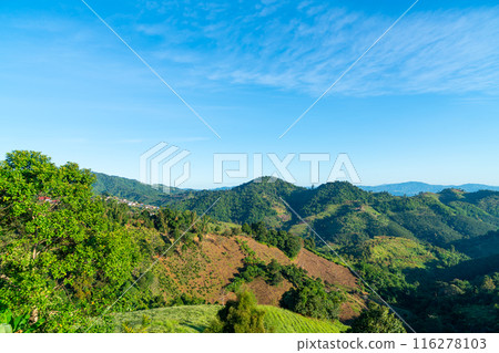 beautiful mountain hill layer with blue sky beautiful mountain hill layer with blue sky 116278103