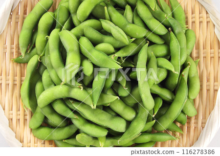 Fresh edamame beans in a colander 116278386