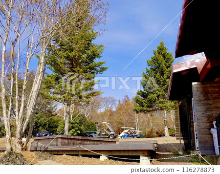 Fujimi Kogen Resort: Sky carts waiting in the Creative Forest, Fujimi Town, Suwa District, Nagano Prefecture 116278873