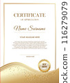 Modern certificate template with elegant design 116279079