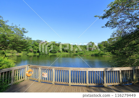 神奈川縣、橫濱市、三池公園 116279449