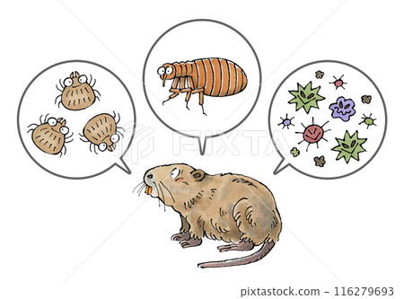 Nutria and parasites (mites, fleas, pathogens) 116279693