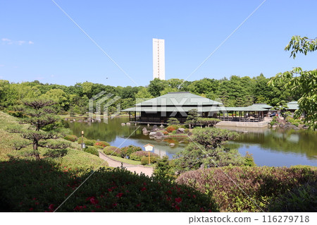 Fresh greenery in the Japanese garden at Daisen Park in Sakai City 116279718