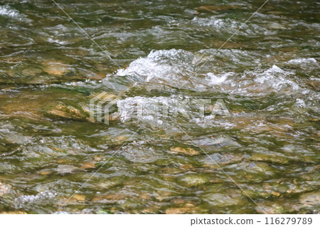 Waterfall stream close-up view from above clear flowing stream over ground gravel and stones. Waterfall stream close-up view from above clear flowing stream over ground gravel and stones. 116279789