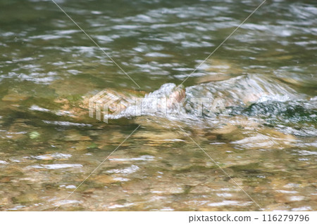 Waterfall stream close-up view from above clear flowing stream over ground gravel and stones. Waterfall stream close-up view from above clear flowing stream over ground gravel and stones. 116279796