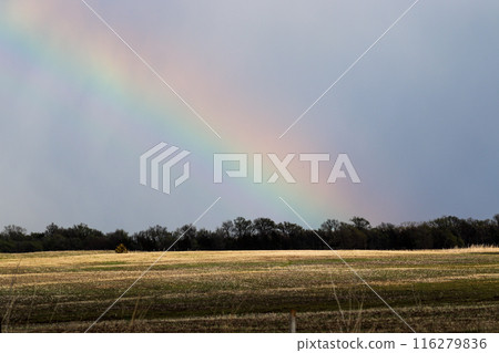 Nature Rainbow over pretty green Nebraska landscape with windmill Nature Rainbow over pretty green Nebraska landscape with windmill 116279836