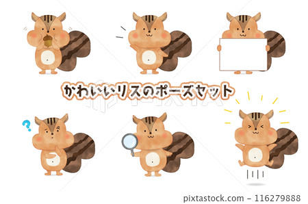 Hand-drawn cute squirrel pose set Hand-drawn cute squirrel pose set 116279888
