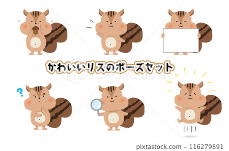 Cute squirrel pose set 116279891
