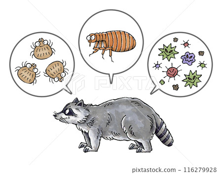 Raccoons and parasites (ticks, fleas, disease-causing bacteria) 116279928