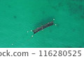 Aerial view of the sea 116280525