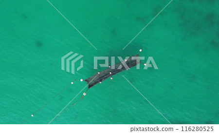 海鳥瞰圖 116280525