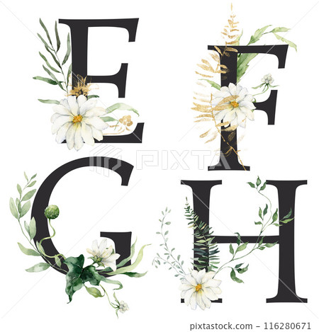 Watercolor Floral Letters Set featuring E, F, G and H. Hand-drawn flowers on a white background create an outdoor letters scene that can be used for design, printing, or fabric backgrounds. Watercolor Floral Letters Set featuring E, F, G and H. Hand-drawn flowers on a white background create an outdoor letters scene that can be used for design, printing, or fabric backgrounds. 116280671