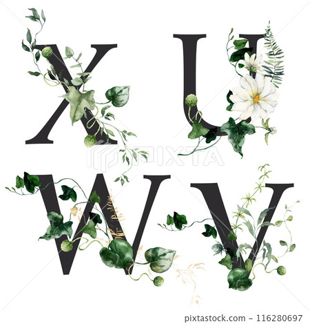 Watercolor Floral Letters Set featuring U, V, W and X. Hand-drawn flowers on a white background create an outdoor letters scene that can be used for design, printing, or fabric backgrounds. 116280697