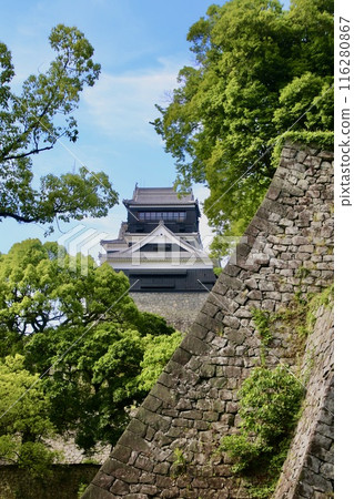Kumamoto Castle, one of Japan's three most famous castles, east side (Kumamoto Prefecture, Kumamoto City) Kumamoto Castle, one of Japan's three most famous castles, east side (Kumamoto Prefecture, Kumamoto City) 116280867