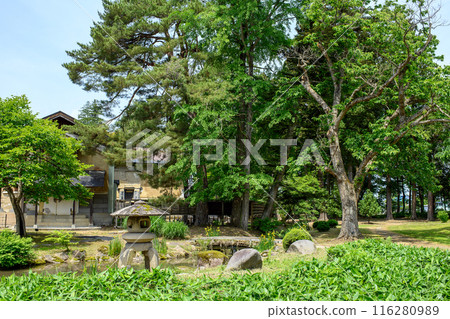 Snow viewing lantern and chestnut tree in the inner garden of the former Ikeda family garden, storehouse, Akita Prefecture 116280989