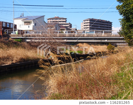 會妻恩尾川風景 116281265