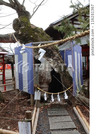 Ikushima明日香神社 116281367