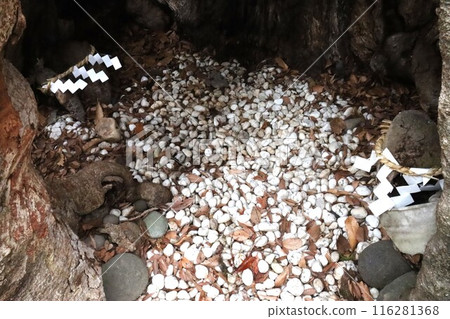 Ikushima明日香神社 116281368