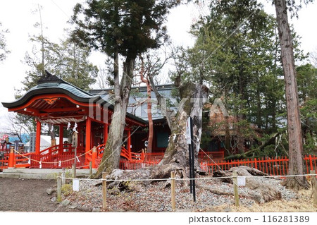 Ikushima明日香神社 116281389