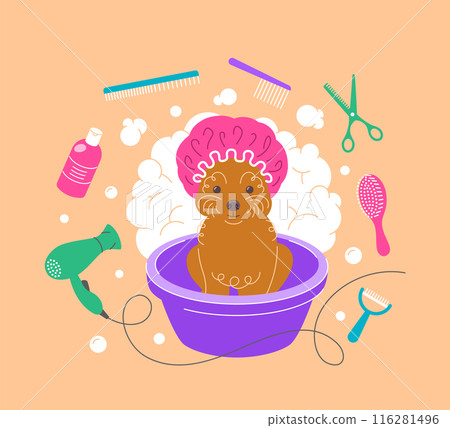 Cute little toy poodle dog in shower cap taking a bath in plastic bowl with soap foam, bubbles and grooming tools, such as hair dryer, scissors, shampoo, brushes. Pet grooming hand drawn illustration Cute little toy poodle dog in shower cap taking a bath in plastic bowl with soap foam, bubbles and grooming tools, such as hair dryer, scissors, shampoo, brushes. Pet grooming hand drawn illustration 116281496