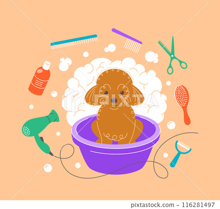 Cute little poodle taking a bath in a plastic bowl with soap foam, bubbles and grooming tools, such as hair dryer, scissors, shampoo, brushes, combs. Hand drawn doodle pet grooming salon illustration Cute little poodle taking a bath in a plastic bowl with soap foam, bubbles and grooming tools, such as hair dryer, scissors, shampoo, brushes, combs. Hand drawn doodle pet grooming salon illustration 116281497