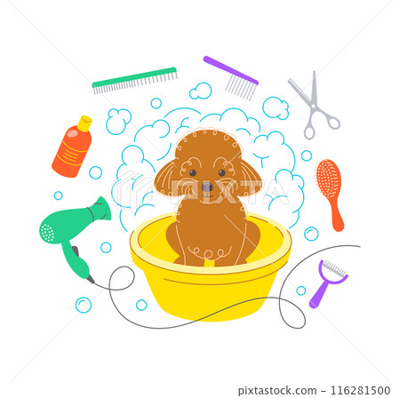 Cute little poodle taking a bath in a plastic bowl with soap foam, bubbles and grooming tools, such as hair dryer, scissors, shampoo, brushes, combs. Hand drawn doodle pet grooming salon illustration Cute little poodle taking a bath in a plastic bowl with soap foam, bubbles and grooming tools, such as hair dryer, scissors, shampoo, brushes, combs. Hand drawn doodle pet grooming salon illustration 116281500