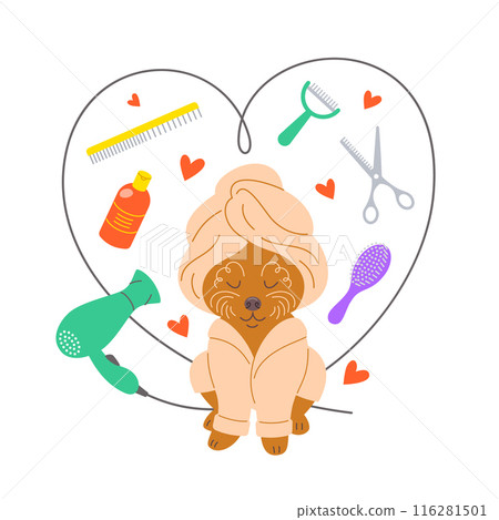 Pet grooming salon illustration with cute happy poodle dog in a bathrobe, towel and some groomer tools such as hair dryer, scissors, shampoo, brushes, all in heart shape. Adorable hand drawn doodle Pet grooming salon illustration with cute happy poodle dog in a bathrobe, towel and some groomer tools such as hair dryer, scissors, shampoo, brushes, all in heart shape. Adorable hand drawn doodle 116281501
