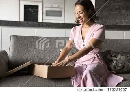 Cheerful amazed young customer woman unpacking parcel on home couch 116281667