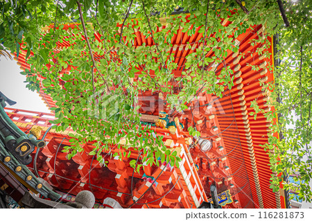 Scenery of Kanda Shrine in Tokyo Scenery of Kanda Shrine in Tokyo 116281873