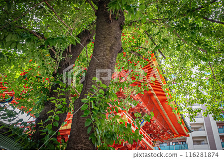 Scenery of Kanda Shrine in Tokyo Scenery of Kanda Shrine in Tokyo 116281874