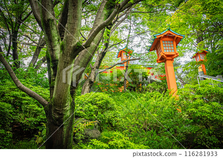 Tokyo: The approach to Hojoji Temple 116281933