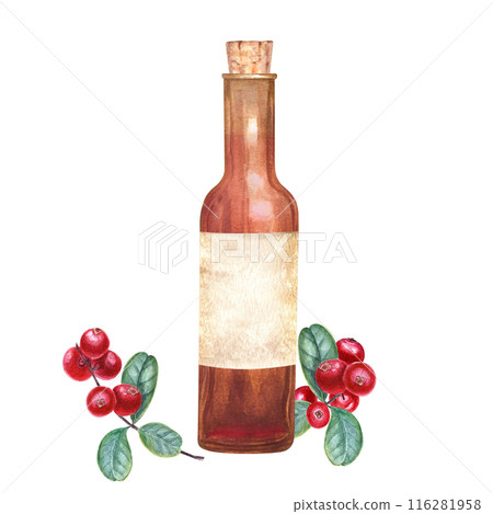 Wine bottle with cranberries. Bottle flanked by vibrant red cowberries and green leaves. Ideal for autumn decor, cozy atmosphere. Watercolor illustration isolated on white. Nostalgia and rustic charm Wine bottle with cranberries. Bottle flanked by vibrant red cowberries and green leaves. Ideal for autumn decor, cozy atmosphere. Watercolor illustration isolated on white. Nostalgia and rustic charm 116281958