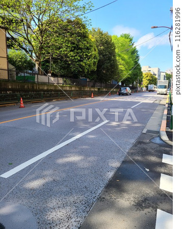 Yayoi Saka 116281996