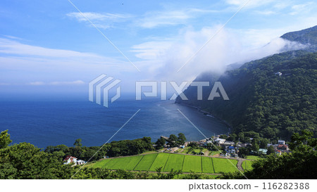 Summer at Sparkling Hill in Ida, Numazu City, Shizuoka Prefecture 116282388