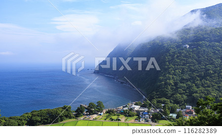 Summer at Sparkling Hill in Ida, Numazu City, Shizuoka Prefecture 116282389