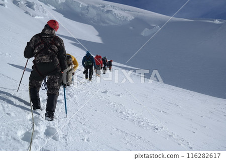 Mountaineers Ascending Steep Snow Slope on High Mountain, Roped Together Under Soft Snowfall 116282617
