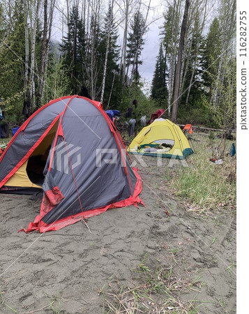 Two camping tents pitched on the sandy bank of a river in the wilderness surrounded by trees 116282755
